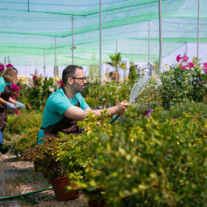 Serviços de Jardinagem